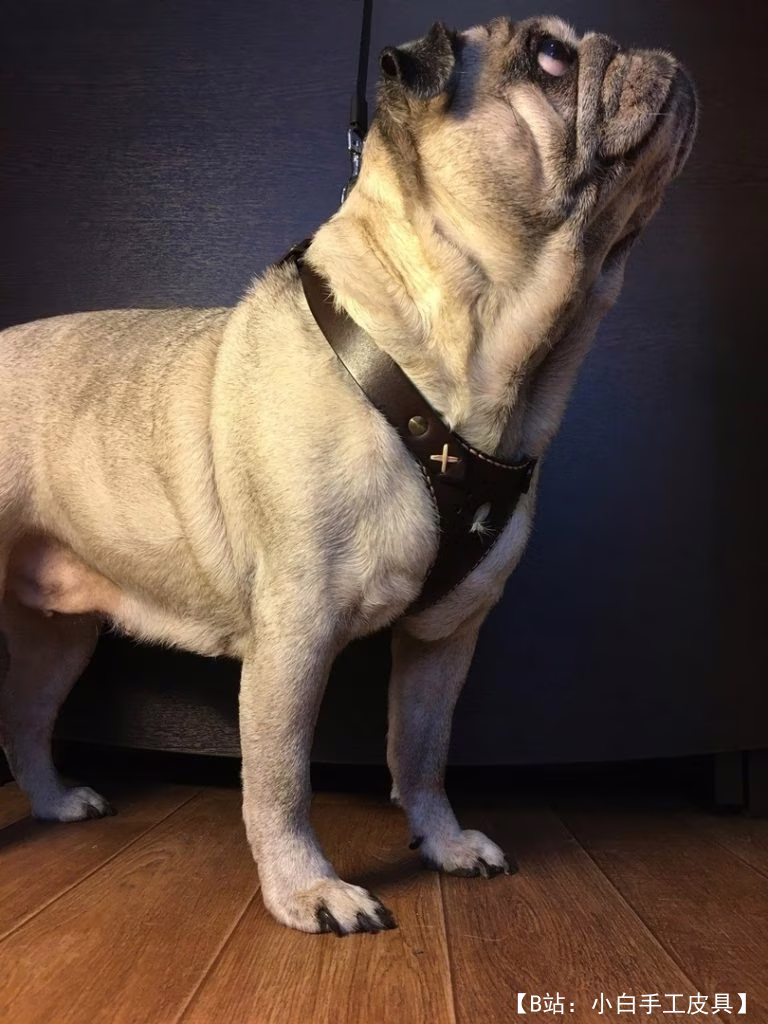 免费版型狗背带 - 3